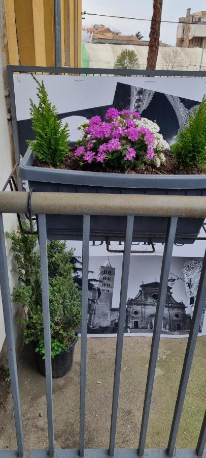 Bed and Breakfast Bitervo Витербо Экстерьер фото